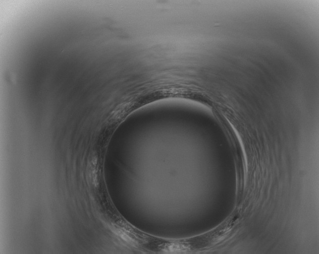 X0000060570223200511101638