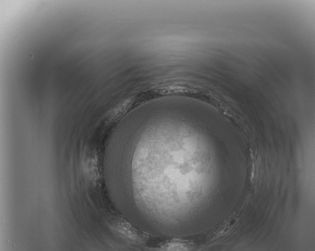 X0000060570224200511101638