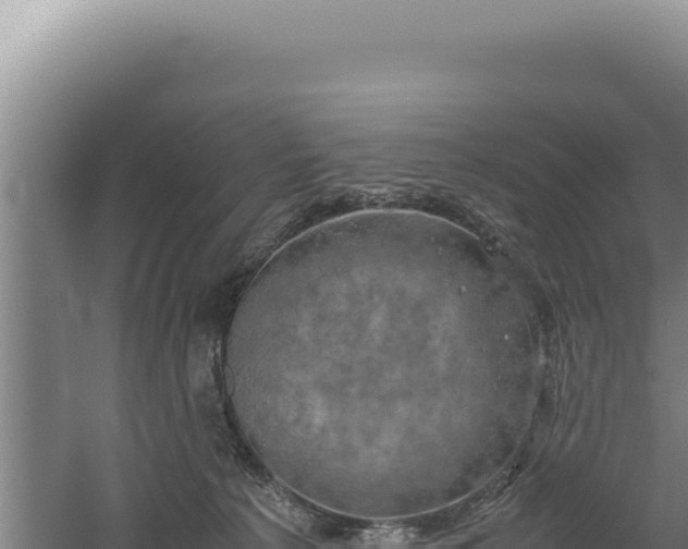 X0000060570225200511101638