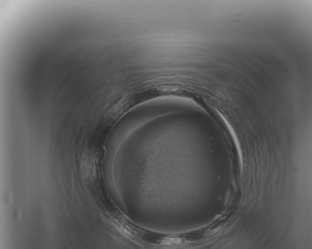 X0000060570227200511101638