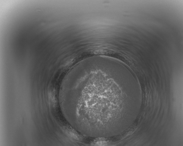 X0000060570228200511101638