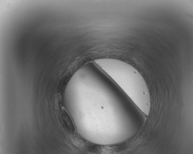 X0000060570229200511101638