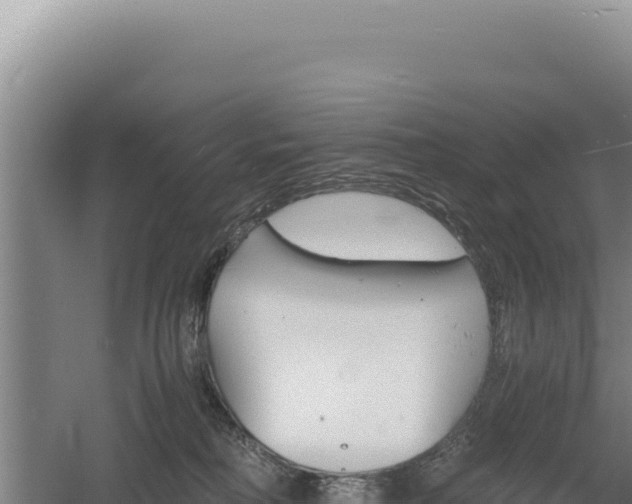 X0000060570230200511101638