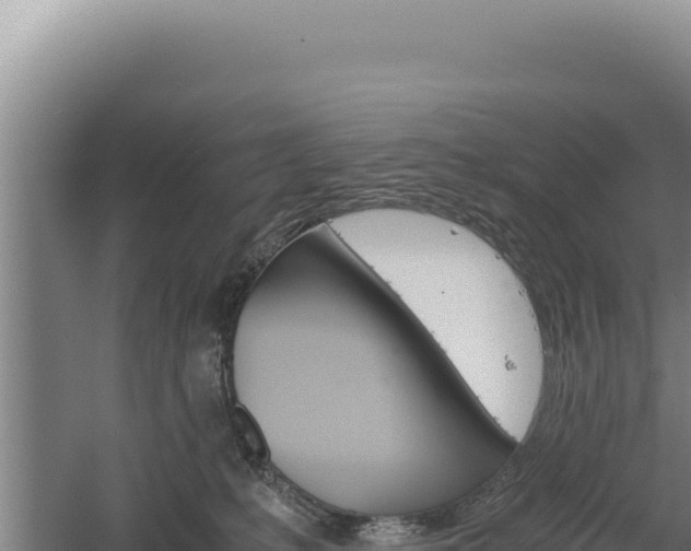 X0000060570231200511101638