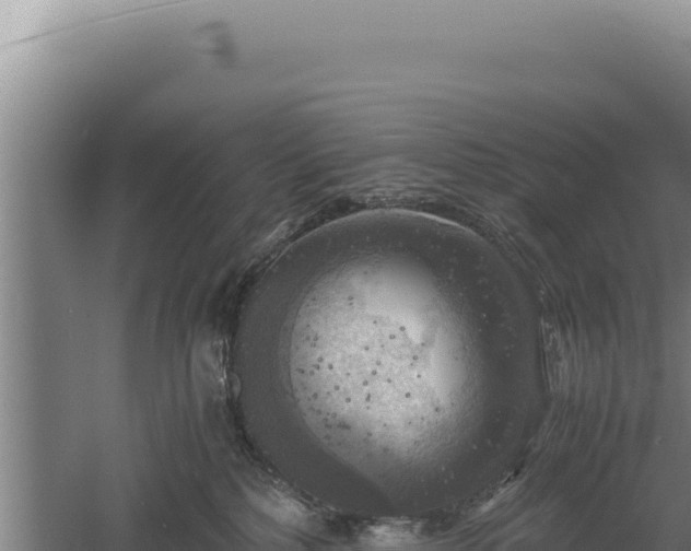 X0000060570232200511101638