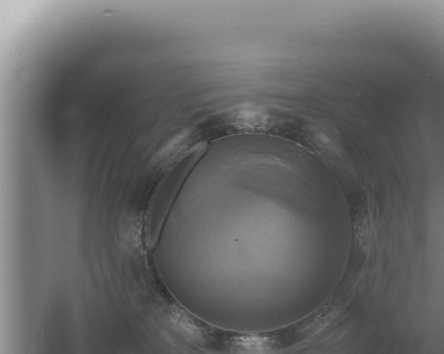 X0000060570233200511101638