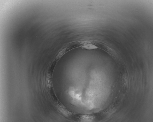 X0000060570234200511101638