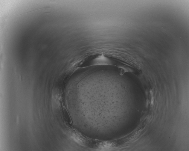 X0000060570235200511101638