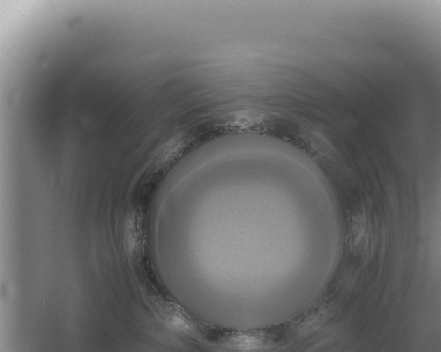 X0000060570236200511101638