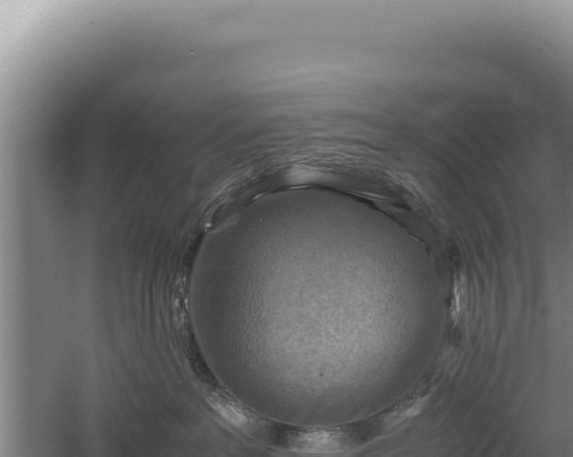 X0000060570237200511101638