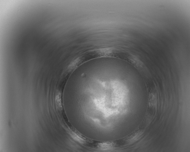 X0000060570238200511101638