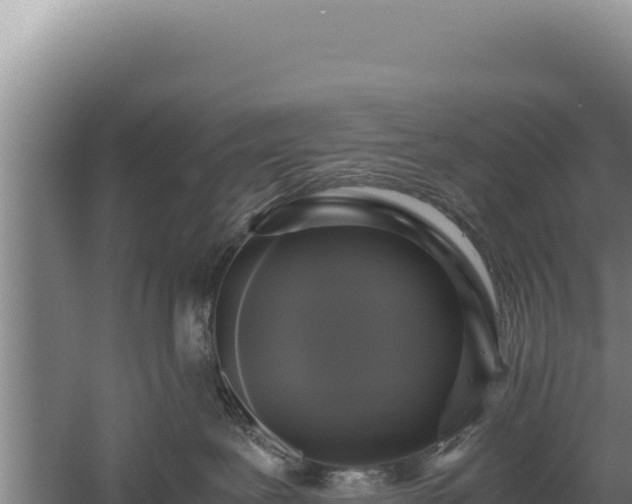 X0000060570239200511101638