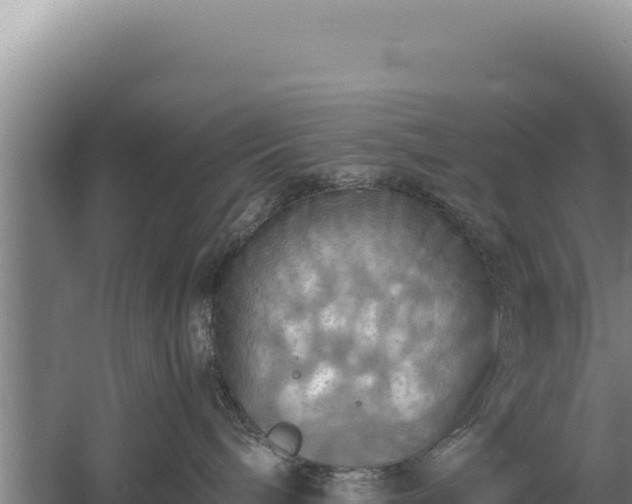 X0000060570240200511101638