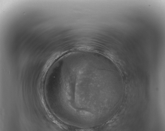 X0000060570241200511101637