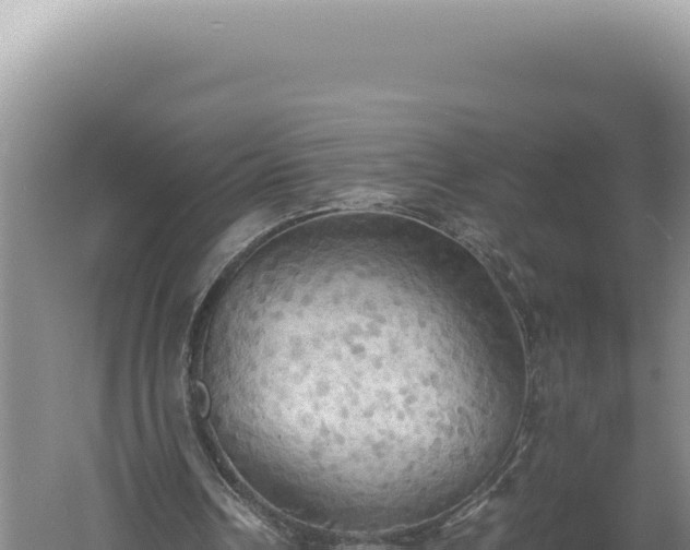 X0000060570242200511101637