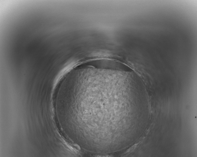 X0000060570245200511101637