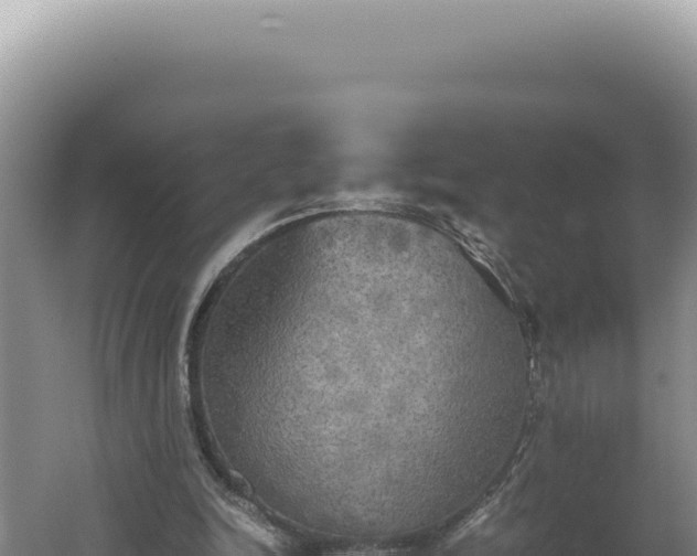 X0000060570246200511101637