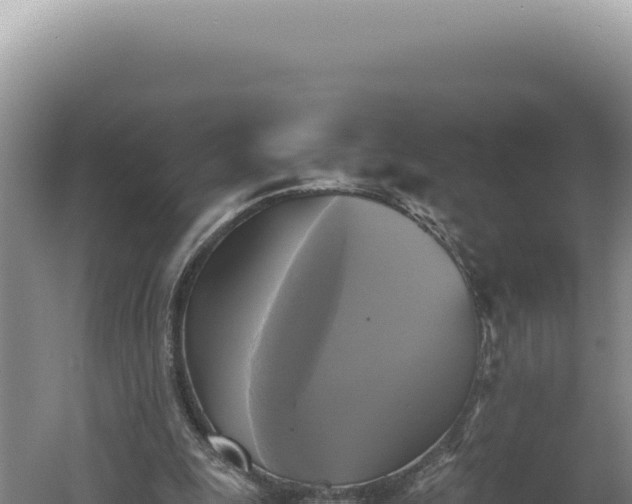 X0000060570247200511101637