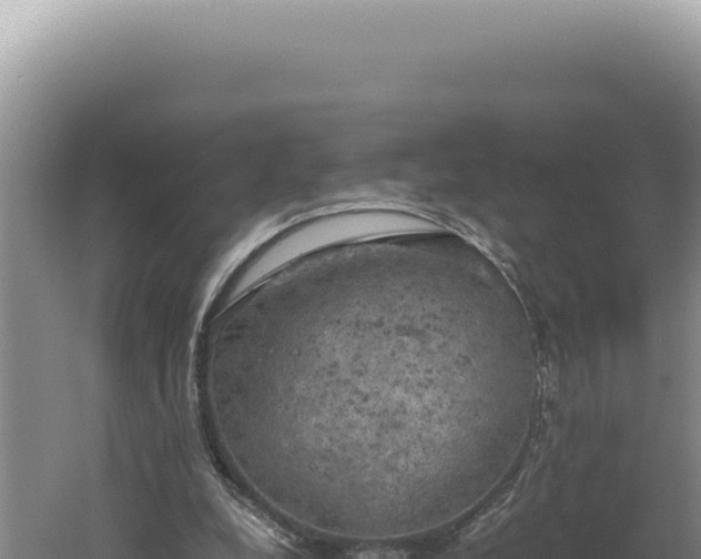 X0000060570248200511101637