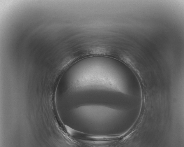 X0000060570249200511101637