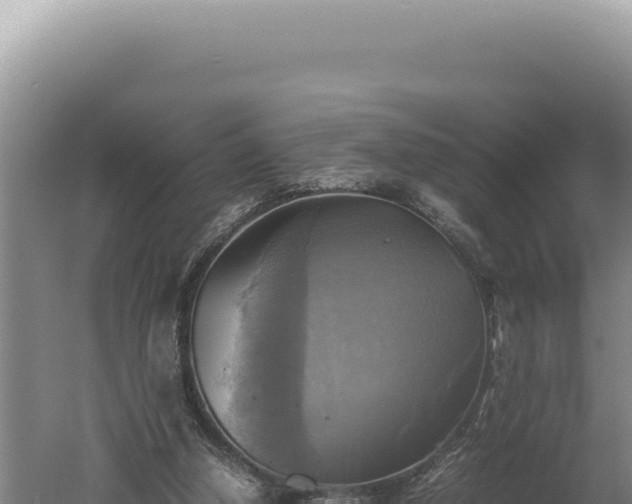 X0000060570250200511101637