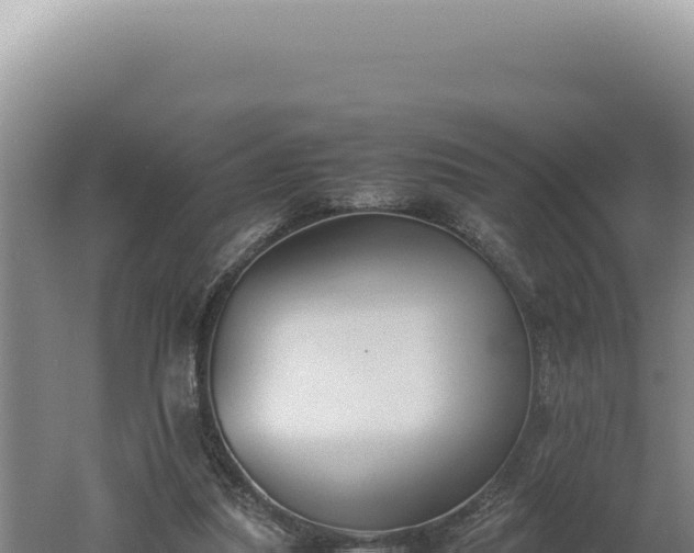 X0000060570251200511101637