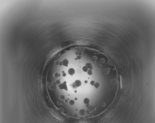 X0000060570252200511101637