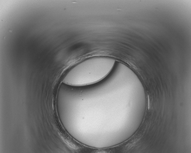 X0000060570253200511101637