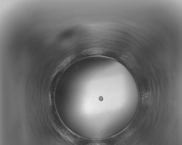 X0000060570254200511101637