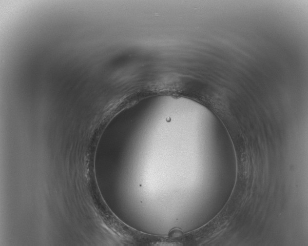 X0000060570255200511101637