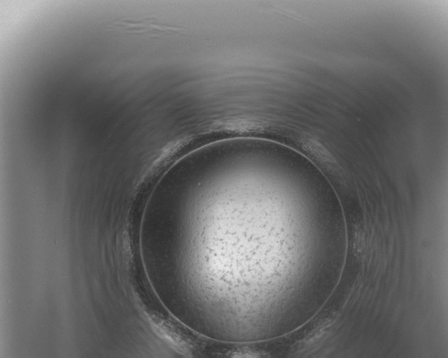 X0000060570256200511101637