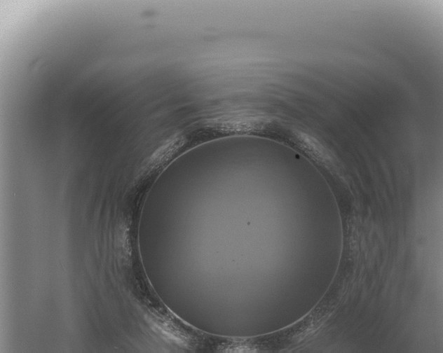 X0000060570258200511101637