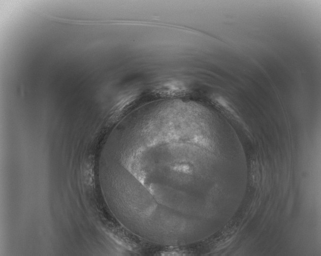 X0000060570259200511101637