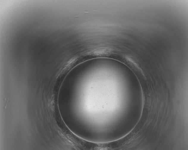 X0000060570260200511101637