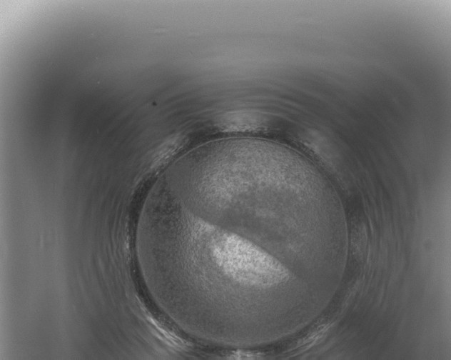 X0000060570261200511101637