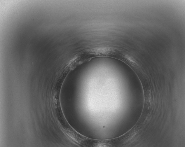 X0000060570264200511101637