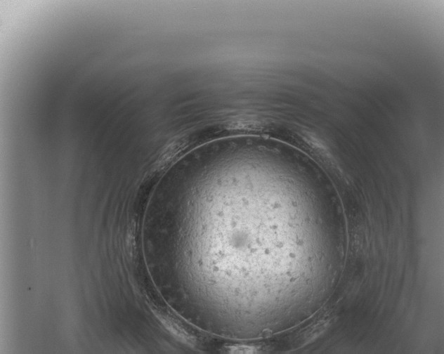 X0000060570265200511101637