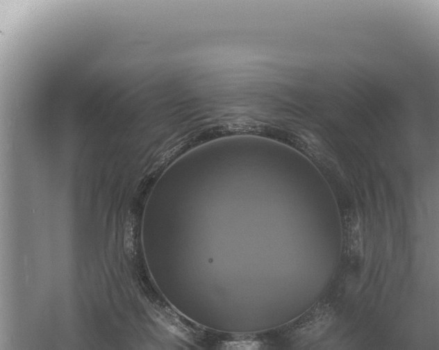 X0000060570266200511101637