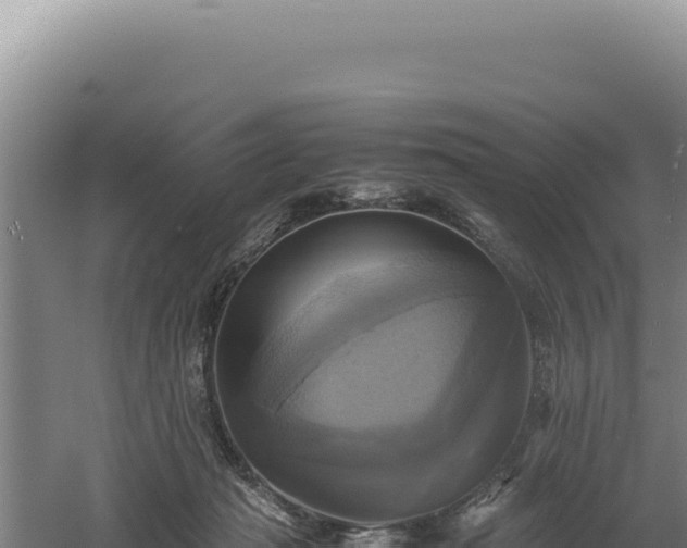 X0000060570269200511101637