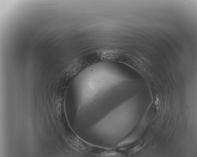 X0000060570271200511101637