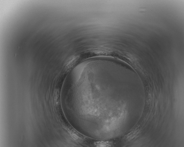 X0000060570273200511101637