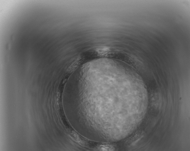 X0000060570275200511101637