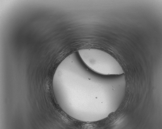 X0000060570277200511101637