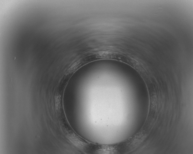 X0000060570278200511101637