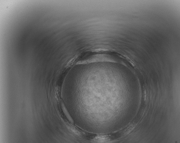 X0000060570280200511101637