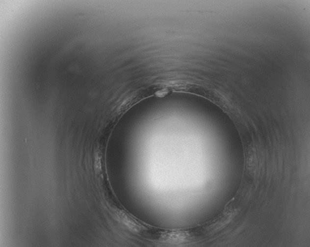 X0000060570282200511101638