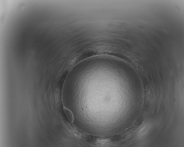 X0000060570283200511101638