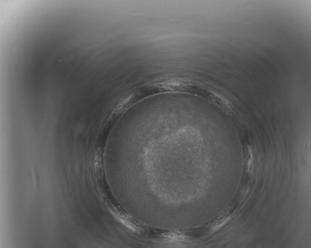 X0000060570284200511101638