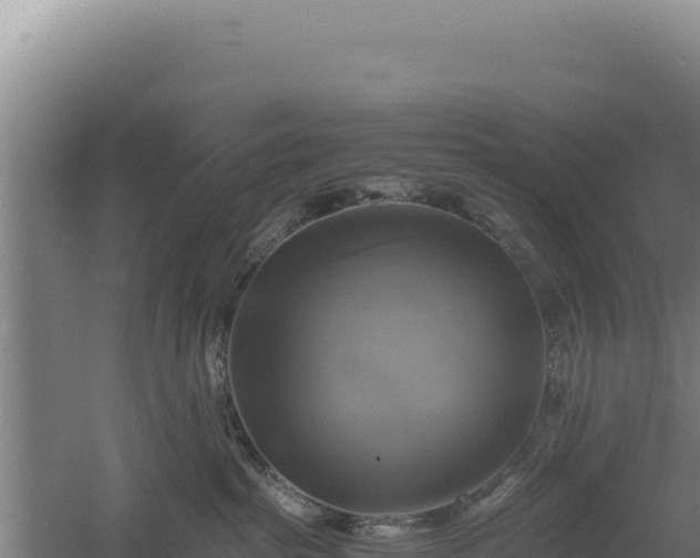 X0000060570285200511101638