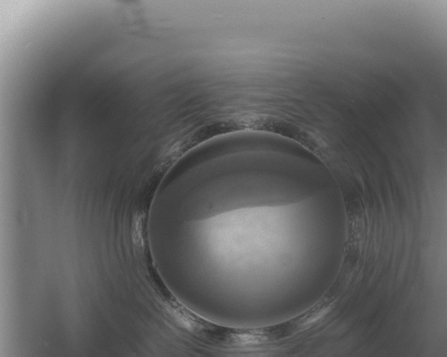 X0000060570286200511101638